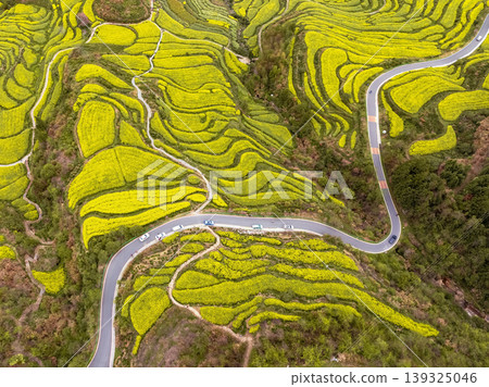 Winding road cuts through vibrant yellow fields. Aerial view. Winding road cuts through vibrant yellow fields. Aerial view. 139325046
