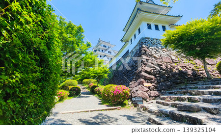 Gujo Hachiman Castle Gujo Hachiman Castle 139325104