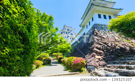 Gujo Hachiman Castle 139325107