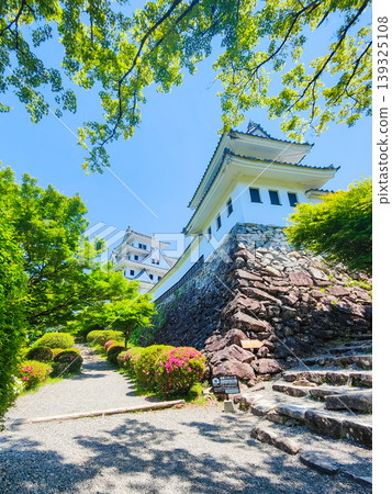 Gujo Hachiman Castle Gujo Hachiman Castle 139325108