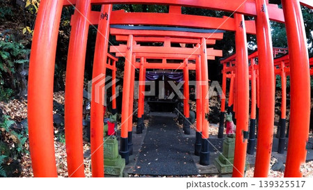 稻荷神社，一排紅色的鳥居矗立在東京寧靜祥和的氛圍中。 139325517