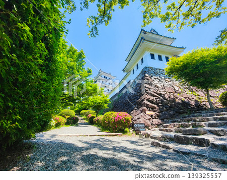 郡上八幡城 139325557