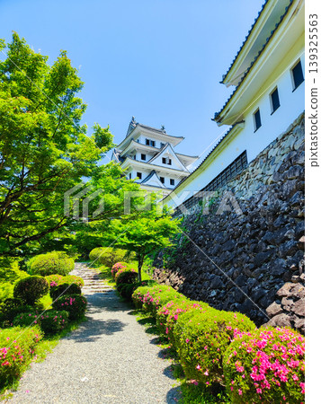 郡上八幡城 139325563
