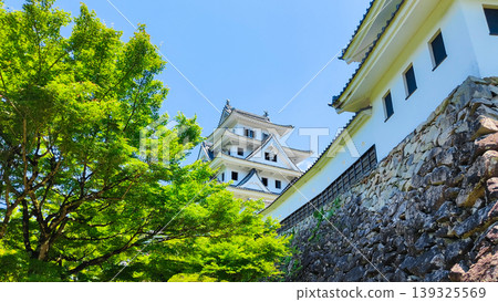 Gujo Hachiman Castle Gujo Hachiman Castle 139325569