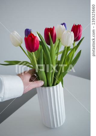 Hand gently touches one of the flowers in a colourful bouquet of tulips in a white ribbed vase Hand gently touches one of the flowers in a colourful bouquet of tulips in a white ribbed vase 139325660