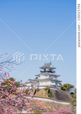A view of Kakegawa Castle in Kakegawa City and the cherry blossoms blooming along the river (Shizuoka Prefecture) A view of Kakegawa Castle in Kakegawa City and the cherry blossoms blooming along the river (Shizuoka Prefecture) 139325768