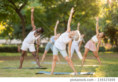 Fitness, sport and healthy lifestyle concept: group of multinational people doing yoga yoga pose - vrikshasana pose on mat in park Fitness, sport and healthy lifestyle concept: group of multinational people doing yoga yoga pose - vrikshasana pose on mat in park 139325899