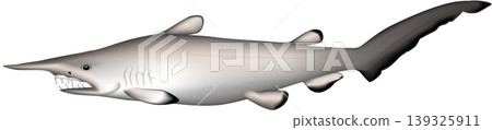 魚類插圖 - 深海鯊魚,「哥布林鯊」 - 向量格式 - 白色背景單張圖片 魚類插圖 - 深海鯊魚,「哥布林鯊」 - 向量格式 - 白色背景單張圖片 139325911