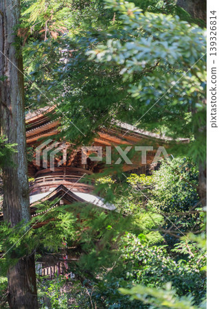 日龍法寺和高澤觀音寺的寺院景色 139326814