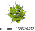Agave horrida 139326852