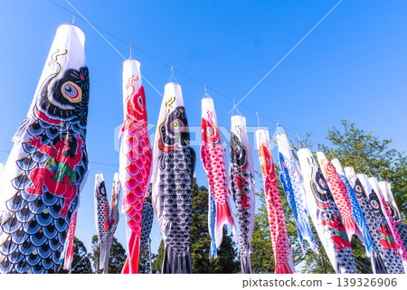 Numerous carp streamers hung in a row under the blue sky, surrounded by the green of the trees. 139326906