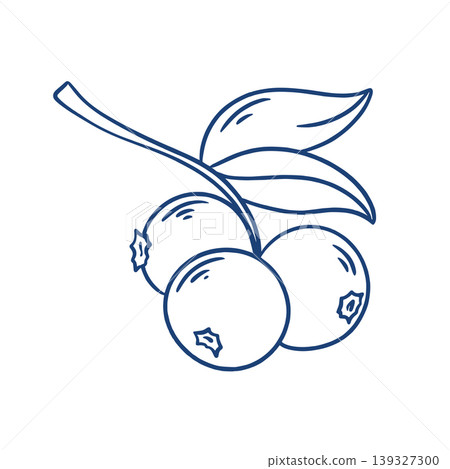 Engraved branch with blueberries Engraved branch with blueberries 139327300