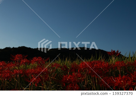 希根花的風景 希根花的風景 139327370