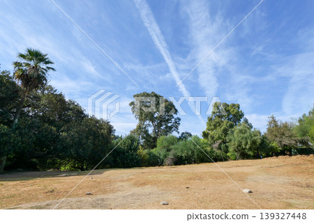Tunisia, Tunis, Belvedere Park Tunisia, Tunis, Belvedere Park 139327448