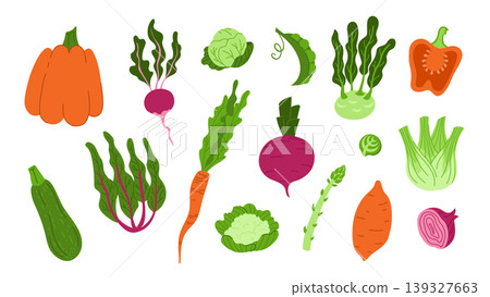 Set of hand drawn ripe vegetables and salad isolated on white background. Pumpkin, pepper, onion, sweet potato, radish, carrot, cabbage, fennel, asparagus, cauliflower, beetroot, zucchini, peas Set of hand drawn ripe vegetables and salad isolated on white background. Pumpkin, pepper, onion, sweet potato, radish, carrot, cabbage, fennel, asparagus, cauliflower, beetroot, zucchini, peas 139327663