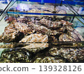 Fresh oysters in the aquarium, close-up of photo. 139328126