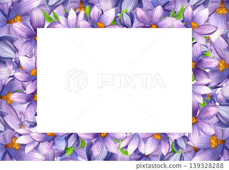 Vibrant purple crocuses, isolated watercolor frame. Horizontal composition with beautiful hand drawn blue wildflowers. Plant illustration for packaging, cosmetics, perfumes, and cards. Vibrant purple crocuses, isolated watercolor frame. Horizontal composition with beautiful hand drawn blue wildflowers. Plant illustration for packaging, cosmetics, perfumes, and cards. 139328288