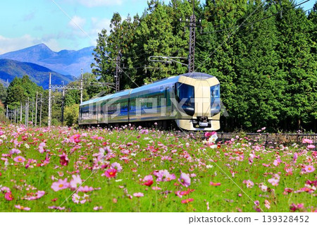 Running through the Kinugawa area lined with cosmos flowers... Tobu Limited Express "Liberty Aizu" 500 series Running through the Kinugawa area lined with cosmos flowers... Tobu Limited Express "Liberty Aizu" 500 series 139328452