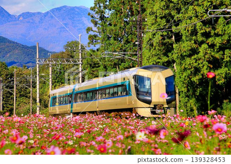 Running through the Kinugawa area lined with cosmos flowers... Tobu Limited Express "Liberty Aizu" 500 series Running through the Kinugawa area lined with cosmos flowers... Tobu Limited Express "Liberty Aizu" 500 series 139328453