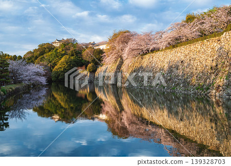 Himeji Castle Uchibori landscape Himeji Castle Uchibori landscape 139328703