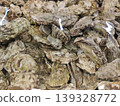Fresh oysters in shells lie in clean water. Seafood for cooking. Close-up. 139328772