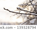 The sun breaks through the snow-covered branches of trees. Winter landscape. 139328794