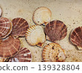 Fresh shellfish lie in water before being sold at the market. 139328804
