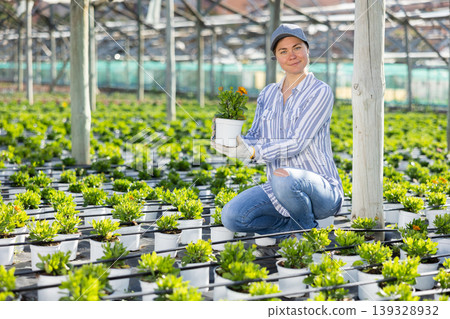 Portrait of a european farmer woman with chrysanthemum Portrait of a european farmer woman with chrysanthemum 139328932