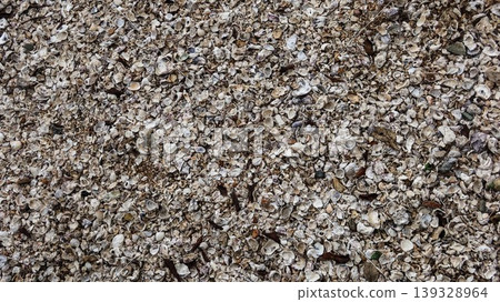 close up of a beach ground full of  broken seashell fragments in varied colors covering ground, illustrating natural coastal accumulation with copy space 139328964