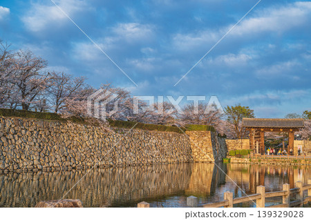 Evening view of Himeji Castle's inner moat and Sakuramon Gate Evening view of Himeji Castle's inner moat and Sakuramon Gate 139329028