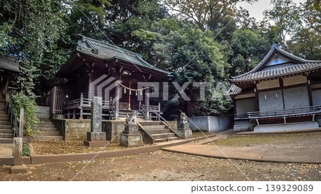 Okamoto Hachimangu Shrine, Okamoto, Setagaya Ward, Tokyo Okamoto Hachimangu Shrine, Okamoto, Setagaya Ward, Tokyo 139329089