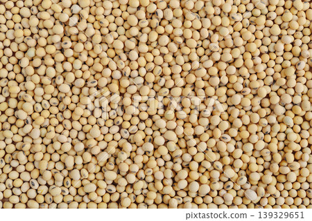 A close up of dried soybeans as background, top view A close up of dried soybeans as background, top view 139329651