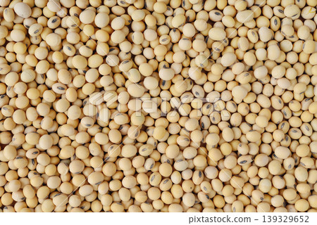 A close up of dried soybeans as background, top view A close up of dried soybeans as background, top view 139329652
