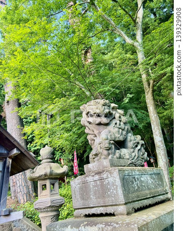 Komainu (guardian lion-dogs) surrounded by fresh greenery Komainu (guardian lion-dogs) surrounded by fresh greenery 139329908