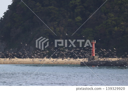 海、鳥和燈塔 139329920