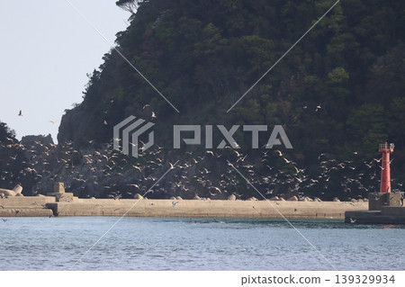 海、鳥和燈塔 139329934
