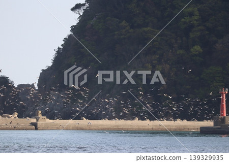 海、鳥和燈塔 139329935
