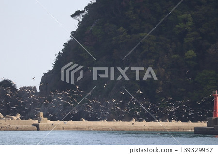 海、鳥和燈塔 139329937