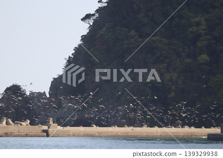 The sea, birds, and a lighthouse 139329938