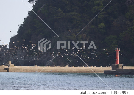 The sea, birds, and a lighthouse The sea, birds, and a lighthouse 139329953