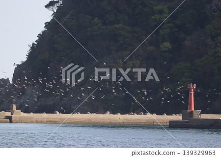 The sea, birds, and a lighthouse The sea, birds, and a lighthouse 139329963