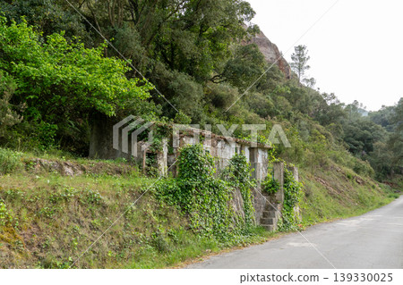 Abandoned building ruins consumed by nature on a hillside road Abandoned building ruins consumed by nature on a hillside road 139330025