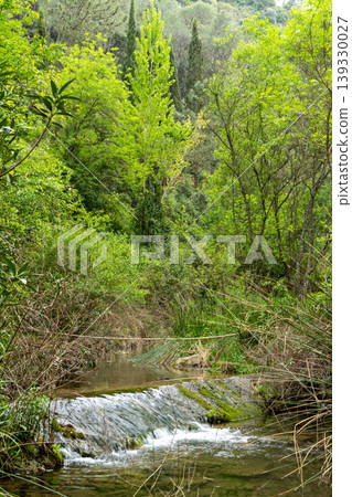 Stream flowing over rocks creating small cascade in lush forest Stream flowing over rocks creating small cascade in lush forest 139330027