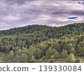 Lush spanish pine forest covering hills under cloudy sky 139330084
