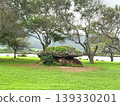 Pohaku Lanai, a power spot in Hawaii that Shohei Ohtani also visited. 139330201
