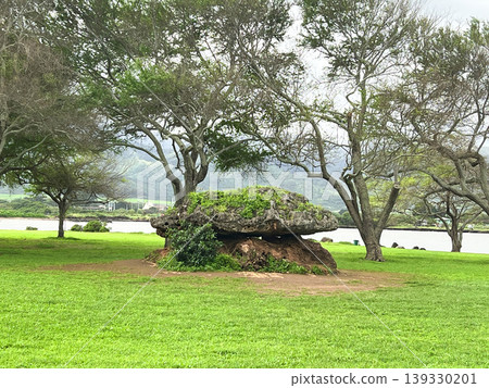 大谷翔平也曾造訪夏威夷的能量點「Pohaku Lanai」。 139330201