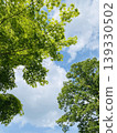 Green and sky Green and sky 139330502