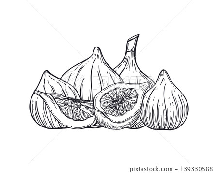 Fig fruit collection drawing. Whole and sliced figs in black ink line art style. Hand drawn organic food vector isolated illustration. Natural ingredient for healthy diet menu, culinary design concept Fig fruit collection drawing. Whole and sliced figs in black ink line art style. Hand drawn organic food vector isolated illustration. Natural ingredient for healthy diet menu, culinary design concept 139330588