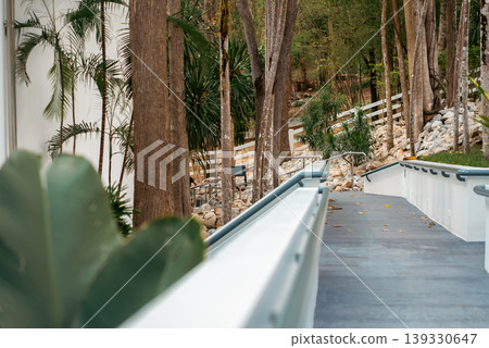 Modern pathway with perspective lines, forest environment with architecture and nature, Minimal outdoor ramp, direction, accessibility and journey in calm green setting Modern pathway with perspective lines, forest environment with architecture and nature, Minimal outdoor ramp, direction, accessibility and journey in calm green setting 139330647