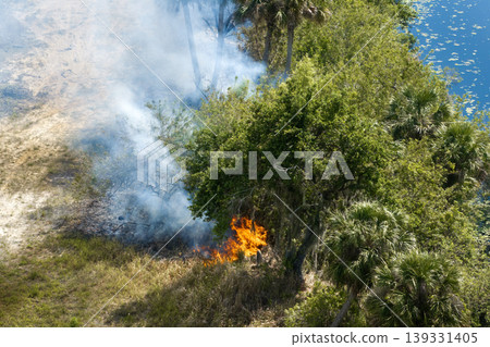 Brush fire in Florida forest during dry season, creating thick smoke plumes and scorched earth Brush fire in Florida forest during dry season, creating thick smoke plumes and scorched earth 139331405